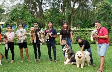 Perjalanan Digital Dunia Anjing: Evolusi Website Komunitas Pecinta Anjing