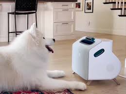 AI Dog Whisperer: Website 2025 yang Akhirnya Terjemahin “Bahasa Rahasia” Anjing Lo